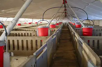 Livestock Farms