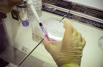 Nucleic Acid/Amino Acid/Antibiotic Separation
