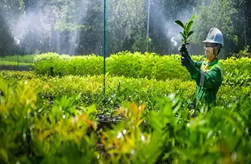 Ecological Restoration Companies