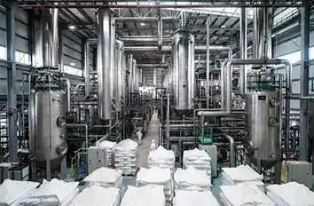 Acidulant Manufacturers: Citric Acid/Lactic Acid