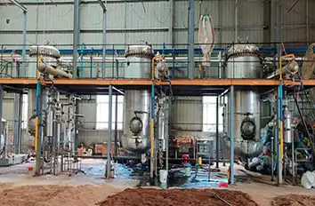 Colorant Manufacturers: Curcumin/Chlorophyll/Anthocyanin
